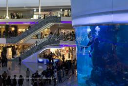 Image du Maroc Professionnelle de  Des hommes grenouilles s’activent au nettoyage du récif de corail de l’Aquadream, un aquarium massif de 1.000.000 L, conçu et construit par International Concept Management (ICM). Les visiteurs ont la possibilité de faire de la plongée sous-marine à l'intérieur de l'aquarium pour cela ils seront  accompagné par un instructeur professionnel, pour d’autre la possibilité de faire un tour à travers le centre pour découvrir environ 40 espèces différentes de poissons.  Située sur le Boulevard de la Corniche Boulevard de L'Océan Ain Diab, à Casablanca, Vendredi 16 Décembre 2011. (Photo / Abdeljalil Bounhar)
